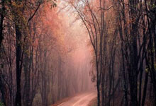 布莱顿发布备战花絮；冲刺阶段豪取连胜；欧篮联任务艰巨；心理建设被强调